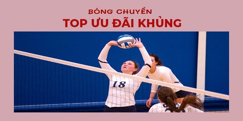 Khuyến Mãi Bóng Chuyền Cực Khủng Trong Tháng 06/2024